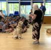 Rotakids raise money for guide dogs at Whitchurch Primary School